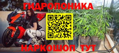 экстази Дубна