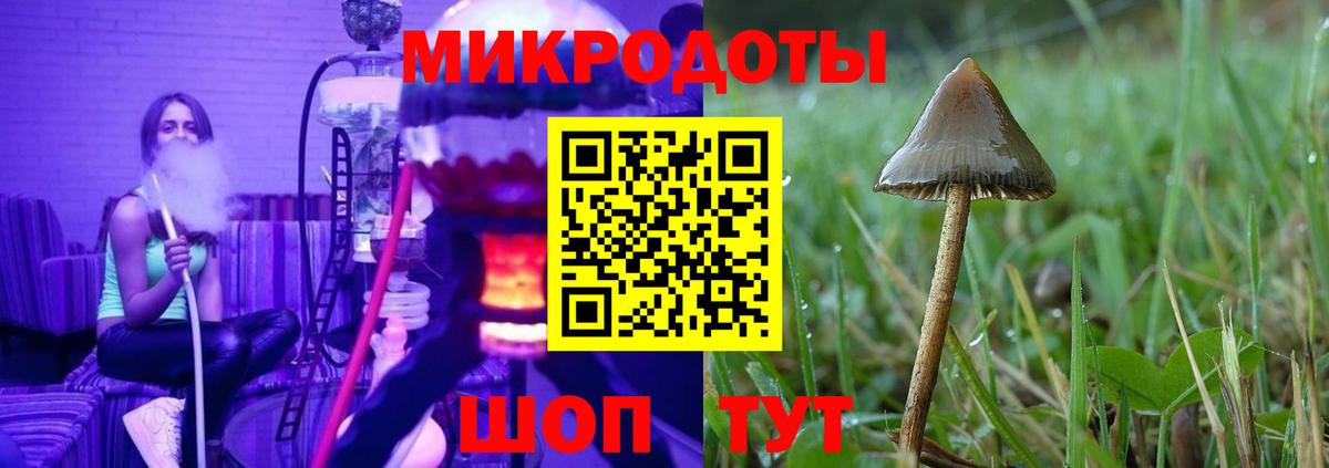 Галлюциногенные грибы мухоморы Миасс