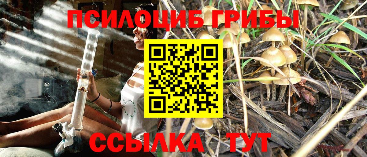 где найти   Псилоцибиновые грибы Magic Shrooms  Вход с VPN  Миасс  Псилоцибиновые грибы MAGIC MUSHROOMS 